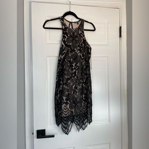 Express Lace Dress
